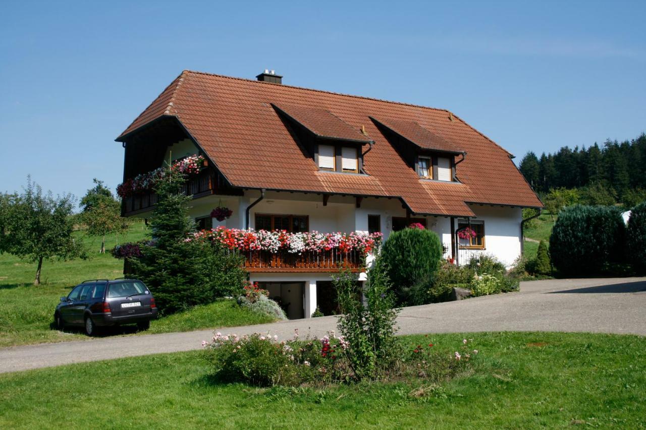 Ferienwohnung Seelbach  Luaran gambar