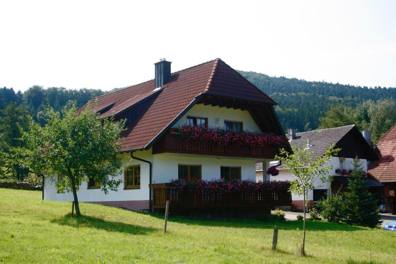 Ferienwohnung Seelbach  Luaran gambar