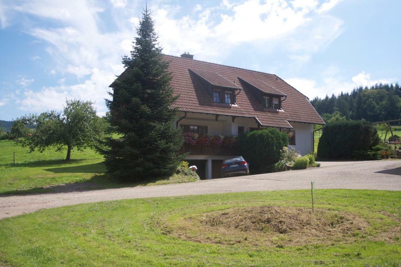Ferienwohnung Seelbach  Luaran gambar